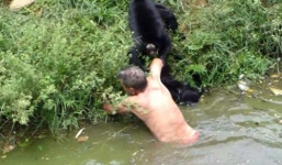 Câu trả lời cho việc thú rừng tấn công con người