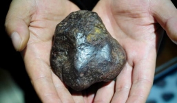 Bằng chứng cho thấy có sự sống trên sao Hỏa