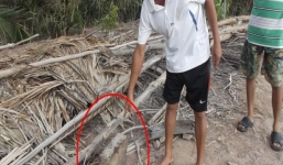 Bến Tre: Sự thật về bợm nhậu “ôm ông Táo xuống chầu Diêm Vương”