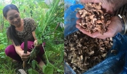 Nữ thầy lang sở hữu bài thuốc bào mòn sỏi thận nức tiếng xứ Mường