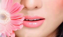 Bí quyết trị môi khô nứt nẻ mùa đông