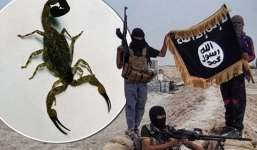 IS dội bom chứa bọ cạp sống gây hoảng loạn Iraq