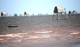 Vụ lật thuyền chở ngao, 6 người chết: Chính quyền không quản lý thuyền cào ngao của dân