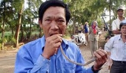 'Dị nhân' đảo Lý Sơn nhai sống rắn hổ mang