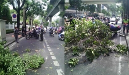 Đoàn xe hộ tống Thủ tướng Thái bất ngờ bị cành cây lớn rơi trúng