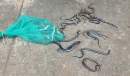 Phát hiện xe ô tô Innova thả 3 bao tải rắn gần khu dân cư