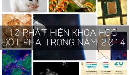 10 phát minh khoa học mang tính đột phá trong năm 2014