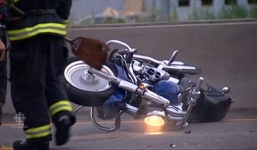 Dừng xe cứu đàn vịt con, cô gái trẻ khiến 2 người chết oan