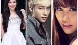 Nhìn lại những án phạt nhớ đời của sao Việt trong năm 2014