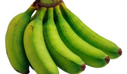 Công dụng chữa bệnh của quả chuối xanh