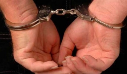 Đại gia thủy sản lừa đảo 170 tỷ đồng bị bắt 