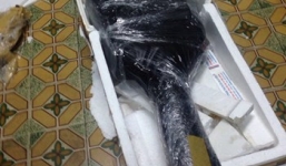 Ngụy trang súng, đạn trong đàn ghi ta để qua mắt công an