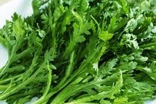 Tác dụng trị bệnh của rau cải cúc