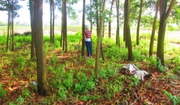 Chú rể bóp cổ cô dâu lấy tiền, vàng ngay trước ngày cưới