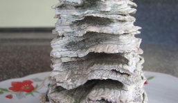 Lão nông nhặt được hàm răng voi ma mút hóa thạch giá hàng trăm triệu