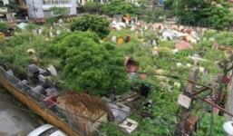 Hà Nội: Nam thanh niên tử vong tại nghĩa trang vì sốc thuốc