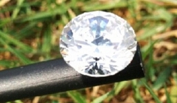 Chó đào được viên kim cương trị giá 360 triệu