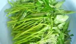 Cách phân biệt rau sạch, bẩn cực đơn giản