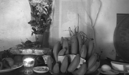 Bức di thư tố bị 'tình địch' đầu độc: Triệu tập 2 nguời liên quan