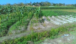 Vụ sát hại chị nuôi, giấu xác: Tâm sự buồn của người chồng