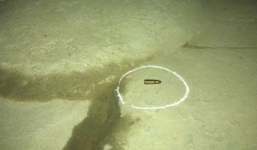 Thanh Hóa: Nổ súng bắn gục chủ quán karaoke trong tiệc sinh nhật