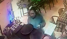 Người phụ nữ rình rập 3 ngày liền ở quán cafe để trộm chó Fox