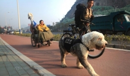 Chuyện tình chàng trai khôi ngô và cô gái bị bại liệt