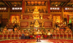 Đại gia Dũng “lò vôi” và nghi vấn buôn lậu 500 triệu gỗ trắc