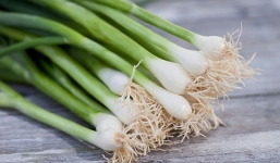 Những tác dụng thần kỳ của hành lá ít người biết