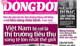 Báo Nông thôn Ngày nay bị phạt 42 triệu đồng
