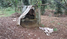 Mẹ ném con 1 tuổi xuống giếng có dấu hiệu tâm thần