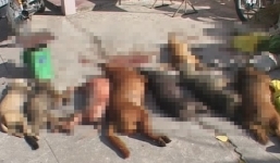 Trộm chó dùng súng tự chế bắn bị thương bảo vệ dân phố