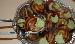 Tử vong vì ăn ốc lạ và những cảnh báo nguy hiểm