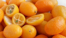 Nghẹn hạt tắc, bé 15 tháng tuổi sống đời thực vật