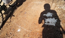 Một phụ nữ bốc cháy giữa trưa nắng