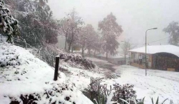 Đêm nay Sa Pa có thể xuất hiện tuyết