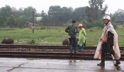 Nam thanh niên lao đầu vào tàu hỏa trước mặt bố mẹ