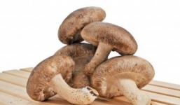 Bài thuốc chữa bệnh hiệu quả từ nấm hương