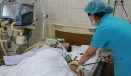 Ngộ độc cá nóc, 3 mẹ con nguy kịch