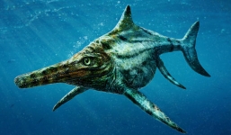 Phát hiện quái vật khổng lồ thời tiền sử lang thang trong vùng biển Scotland