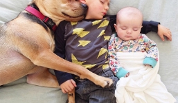 Ngộ nghĩnh với cậu bé nổi tiếng với bức hình ngủ với cún con