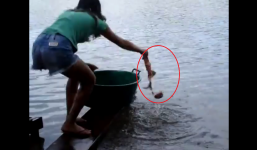 Tròn mắt xem cô gái câu cá hổ như trong phim kinh dị