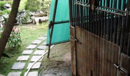 Thông tin nóng về đại gia nuôi gấu cắt đứt tay bé 3 tuổi