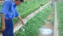 Bị đuổi đánh, bà lão U60 đâm chồng tử vong trước cổng chùa