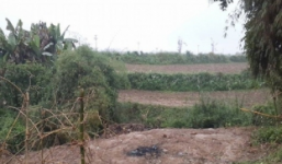 Nghĩ quẩn, mẹ kéo con trai 14 tuổi đi sát hại bạn thân để xù nợ