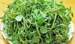 Chỉ mặt các lại rau chứa nhiều giun sán nhất