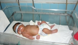 Bé gái 2 tháng tuổi bị cha sát hại dã man