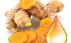 Giáo sư nói về nghệ nano hỗ trợ trị ung bướu