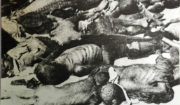 Nạn đói năm 1945: Những thi thể người chết chưa kịp chôn cất