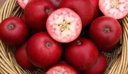 Tò mò nếm thử nhãn tím, xoài đỏ hút khách trên thị trường